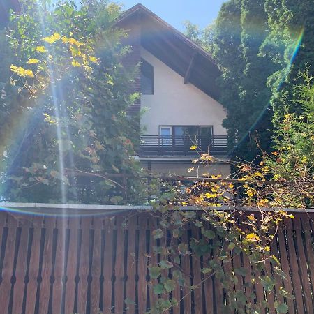 Timi Residence Braşov Eksteriør billede