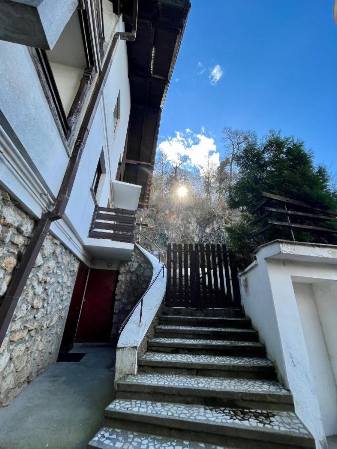 Timi Residence Braşov Eksteriør billede