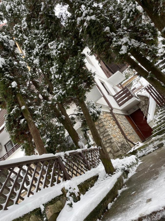 Timi Residence Braşov Eksteriør billede