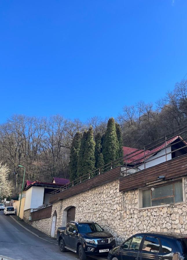 Timi Residence Braşov Eksteriør billede